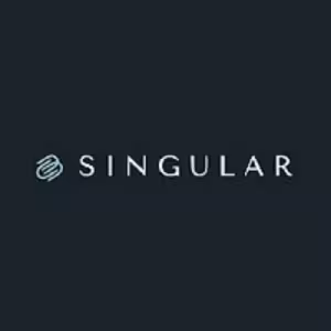 Singular Tokenized Stocks