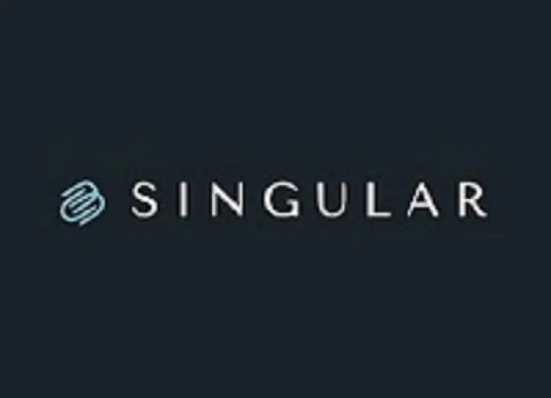 Singular Tokenized Stocks